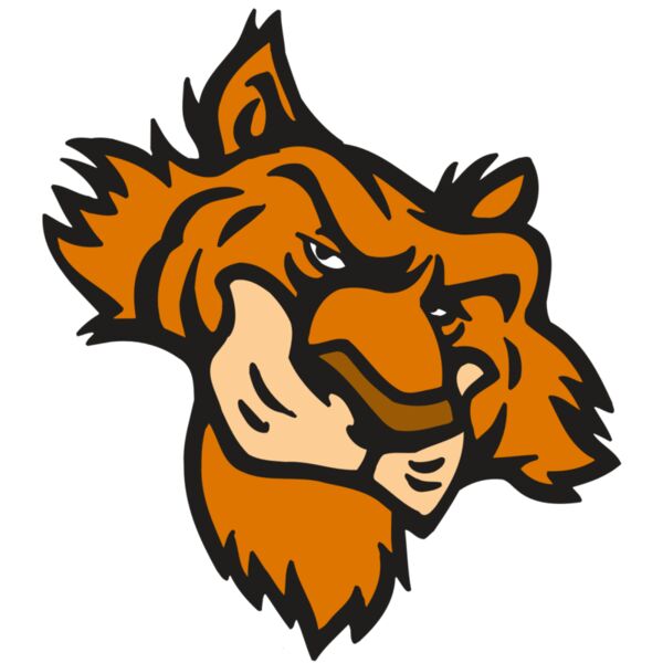 AR5 Tiger 16 RQC Thumbnail