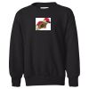Youth EcoSmart® Crewneck Sweatshirt Thumbnail