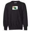 Youth EcoSmart® Crewneck Sweatshirt Thumbnail