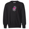 Youth EcoSmart® Crewneck Sweatshirt Thumbnail