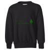 Youth EcoSmart® Crewneck Sweatshirt Thumbnail