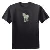 Women's Cool DRI® Performance T-Shirt Thumbnail